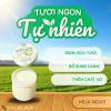 Sữa chua dừa non Ba vì xanh